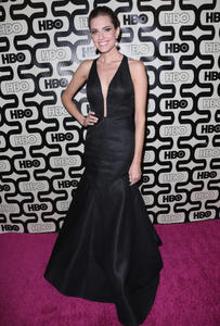 th_313005216_AllisonWilliamsHBOPost2013GoldenGlobeK4CTtfT7R7Kx_122_379lo.jpg